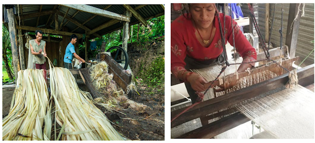 Banana fibre manufacturing Banana fibre manufacturing