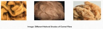 Camel Fibre Camel Fibre